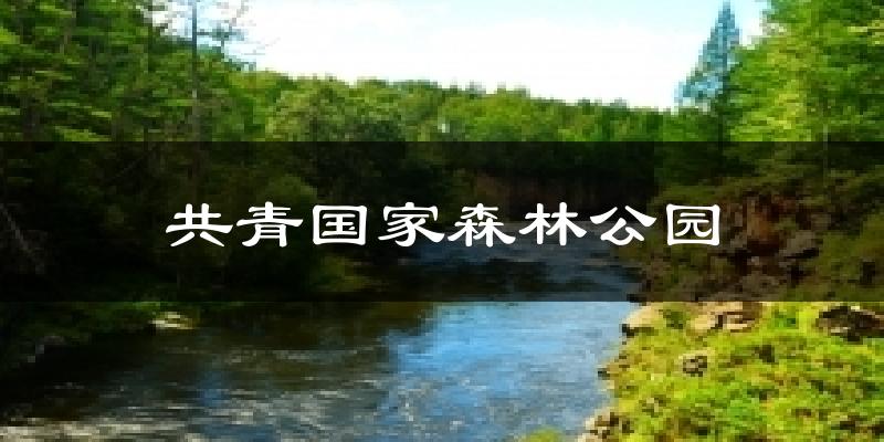 上海共青国家森林公园天气预报未来一周