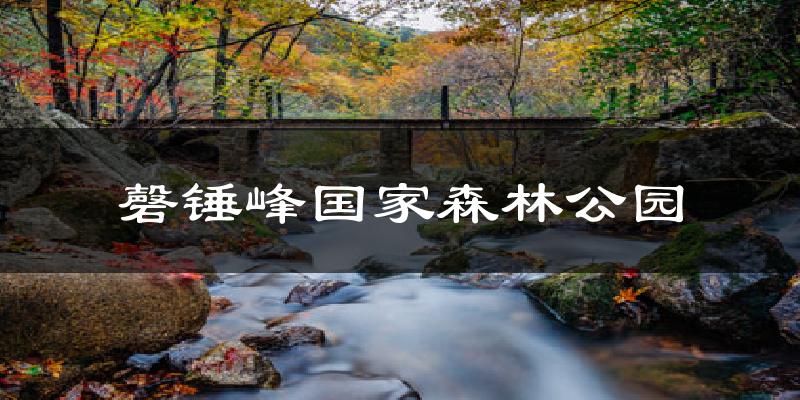 磬锤峰国家森林公园今日天气