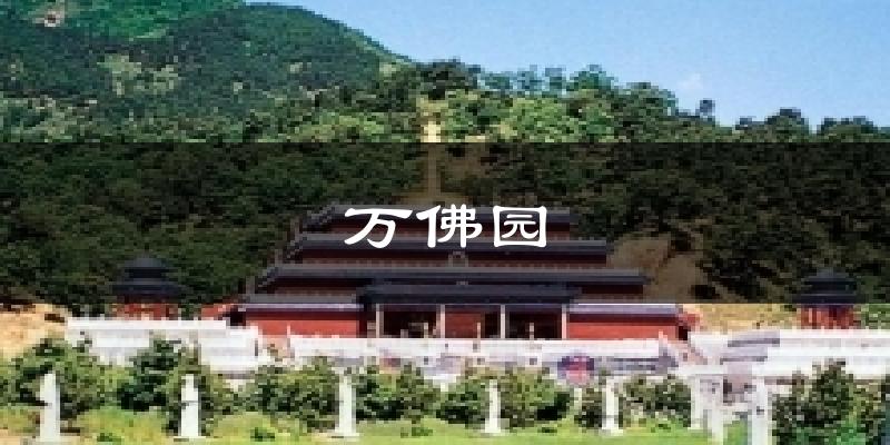 万佛园今日天气