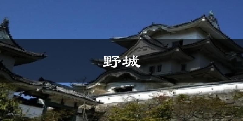 野城今日天气