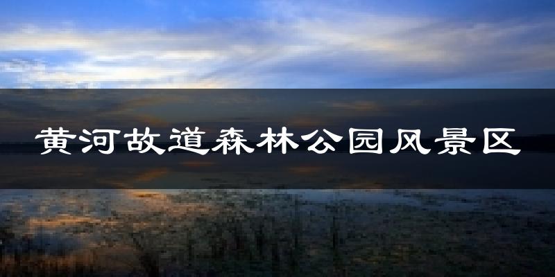 黄河故道森林公园风景区今日天气