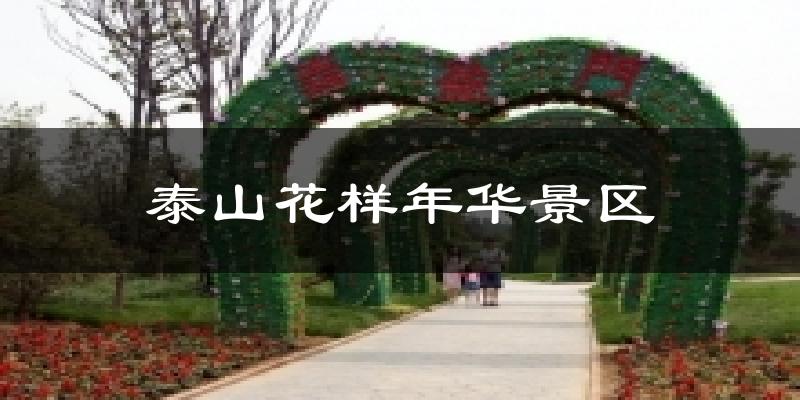 泰山花样年华景区天气预报十五天