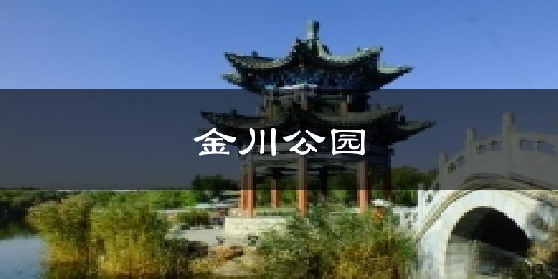 金川公园今日天气