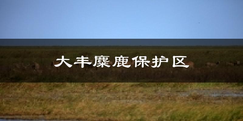 盐城大丰大丰麋鹿保护区天气预报未来一周